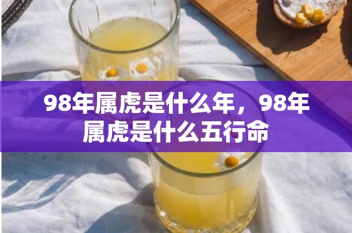 98年属虎是什么年，98年属虎是什么五行命