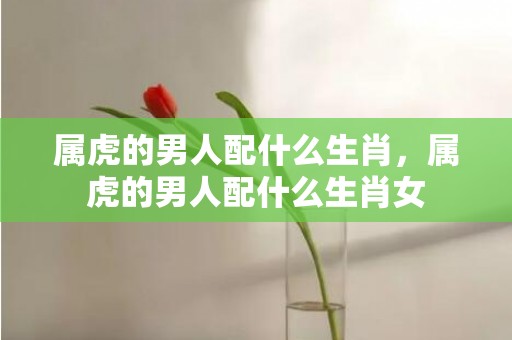 属虎的男人配什么生肖，属虎的男人配什么生肖女