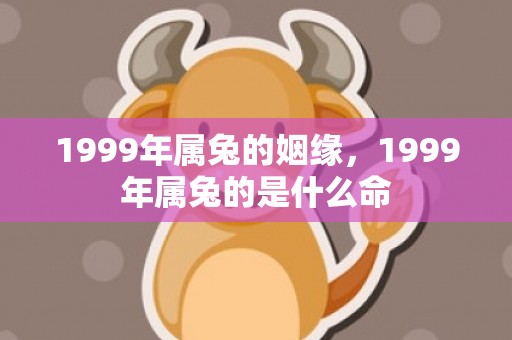 1999年属兔的姻缘，1999年属兔的是什么命