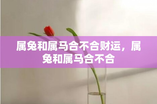 属兔和属马合不合财运，属兔和属马合不合