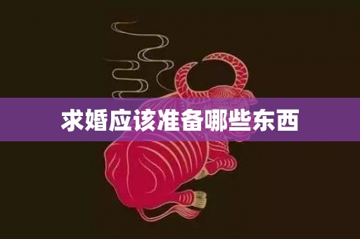 求婚应该准备哪些东西