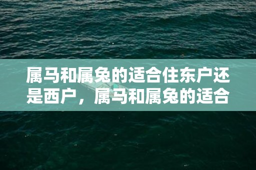 属马和属兔的适合住东户还是西户，属马和属兔的适合做夫妻吗