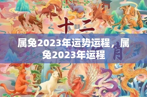 属兔2023年运势运程，属兔2023年运程