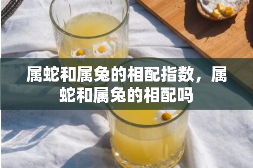 属蛇和属兔的相配指数，属蛇和属兔的相配吗