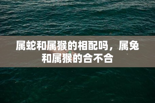 属蛇和属猴的相配吗，属兔和属猴的合不合