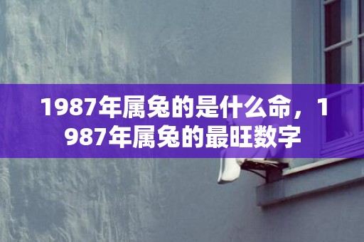 1987年属兔的是什么命，1987年属兔的最旺数字