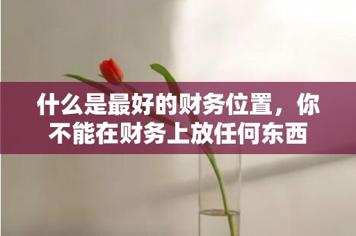 什么是最好的财务位置，你不能在财务上放任何东西