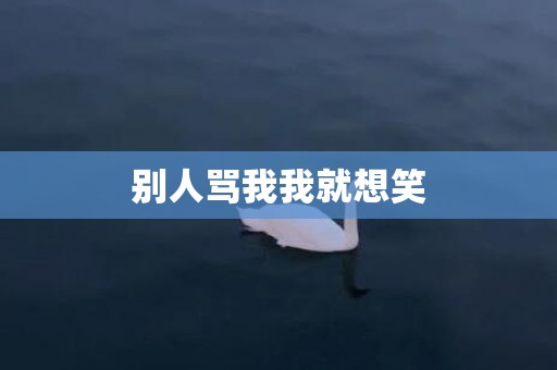 别人骂我我就想笑