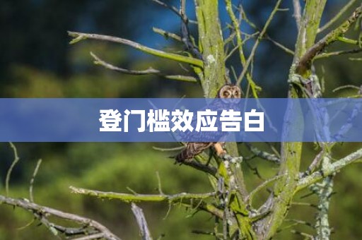 登门槛效应告白