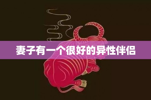 妻子有一个很好的异性伴侣