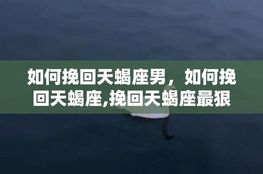 如何挽回天蝎座男，如何挽回天蝎座,挽回天蝎座最狠的一招