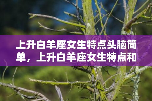 上升白羊座女生特点头脑简单，上升白羊座女生特点和性格,看看你占了多少