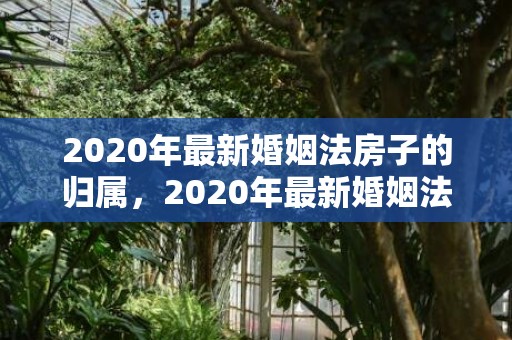 2020年最新婚姻法房子的归属，2020年最新婚姻法规定第三者，婚姻法关于第三者的司法解释