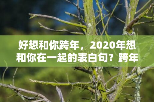 好想和你跨年，2020年想和你在一起的表白句？跨年表白短句