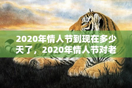 2020年情人节到现在多少天了，2020年情人节对老公说的说说？情人节对男朋友说的话