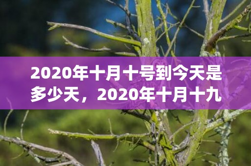 2020年十月十号到今天是多少天，2020年十月十九日是什么日子(2020年10月10日黄历)