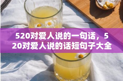 520对爱人说的一句话，520对爱人说的话短句子大全 对老公说的暖心话短句