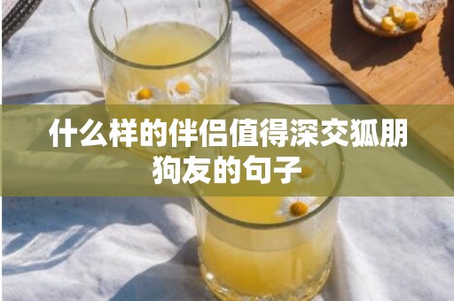 什么样的伴侣值得深交狐朋狗友的句子