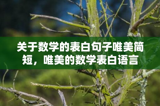 关于数学的表白句子唯美简短，唯美的数学表白语言