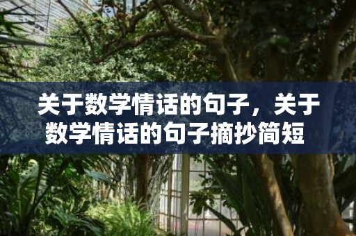 关于数学情话的句子，关于数学情话的句子摘抄简短 简短优美句子摘抄大全