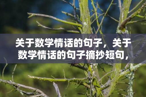 关于数学情话的句子，关于数学情话的句子摘抄短句，喜欢数学的句子