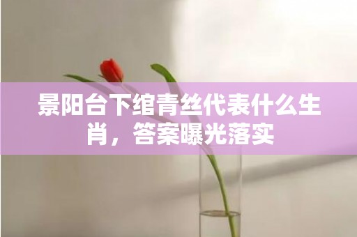 景阳台下绾青丝代表什么生肖，答案曝光落实