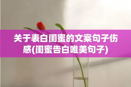 关于表白闺蜜的文案句子伤感(闺蜜告白唯美句子)