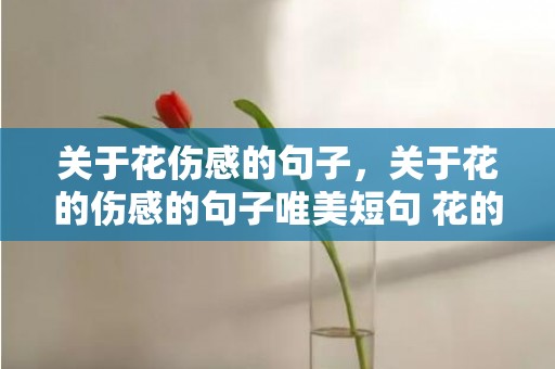 关于花伤感的句子，关于花的伤感的句子唯美短句 花的伤感经典语录短句