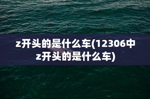 z开头的是什么车(12306中z开头的是什么车)