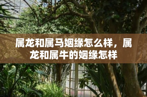 属龙和属马姻缘怎么样，属龙和属牛的姻缘怎样