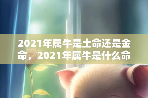 2021年属牛是土命还是金命，2021年属牛是什么命