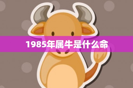 1985年属牛是什么命