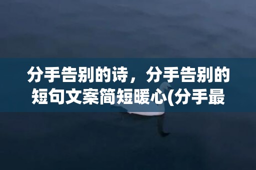 分手告别的诗，分手告别的短句文案简短暖心(分手最好的告别文案)