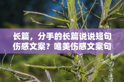 长篇，分手的长篇说说短句伤感文案？唯美伤感文案句子