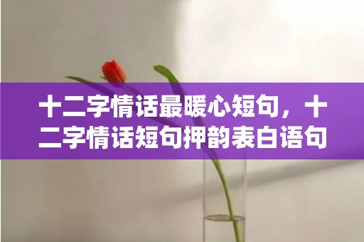 十二字情话最暖心短句，十二字情话短句押韵表白语句(十二字情话最暖心短句)