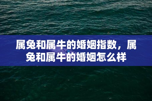 属兔和属牛的婚姻指数，属兔和属牛的婚姻怎么样