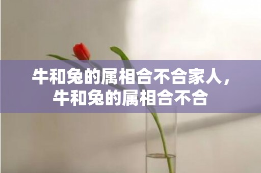 牛和兔的属相合不合家人，牛和兔的属相合不合