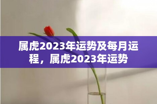 属虎2023年运势及每月运程，属虎2023年运势