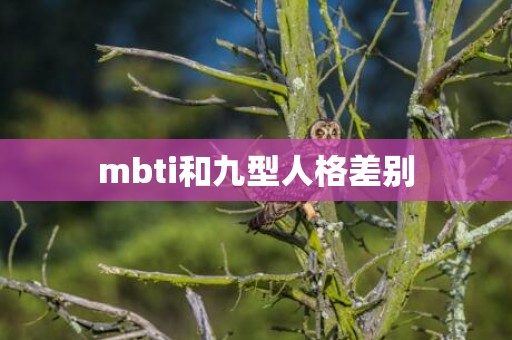 mbti和九型人格差别