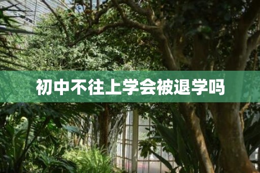 初中不往上学会被退学吗