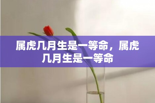 属虎几月生是一等命，属虎几月生是一等命