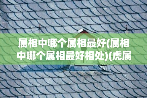 属相中哪个属相最好(属相中哪个属相最好相处)(虎属相和哪个属相最合)