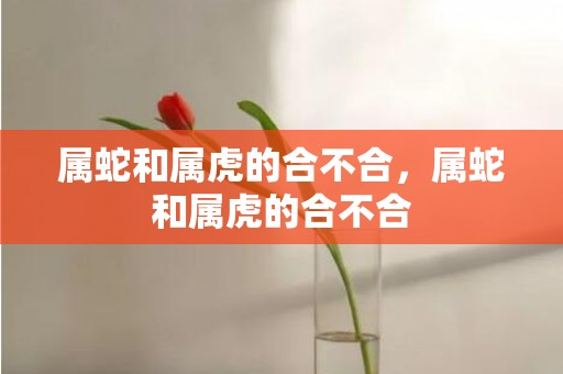 属蛇和属虎的合不合，属蛇和属虎的合不合