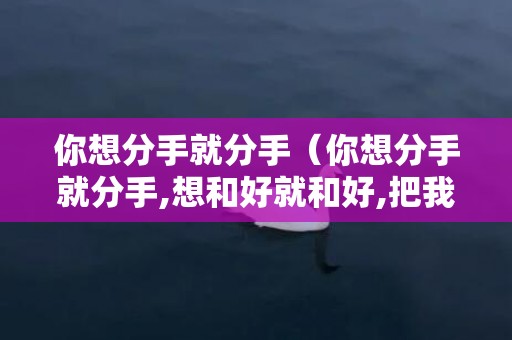 你想分手就分手（你想分手就分手,想和好就和好,把我当成什么?）