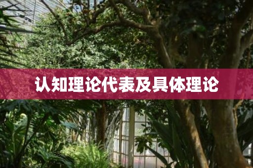 认知理论代表及具体理论