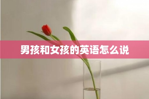 男孩和女孩的英语怎么说