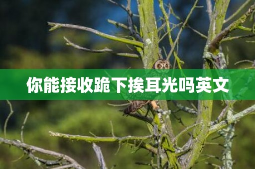 你能接收跪下挨耳光吗英文