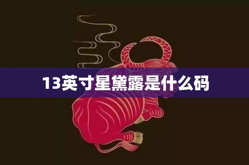 13英寸星黛露是什么码