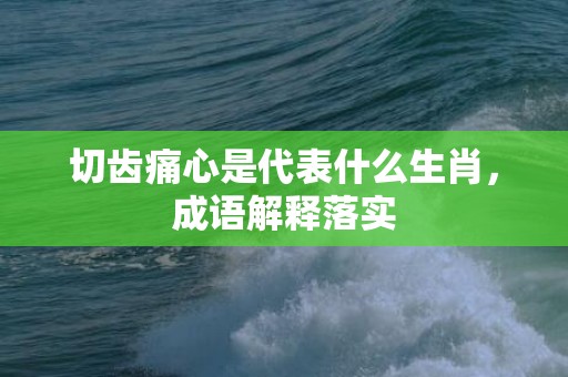 切齿痛心是代表什么生肖，成语解释落实