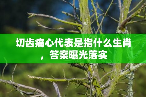 切齿痛心代表是指什么生肖，答案曝光落实